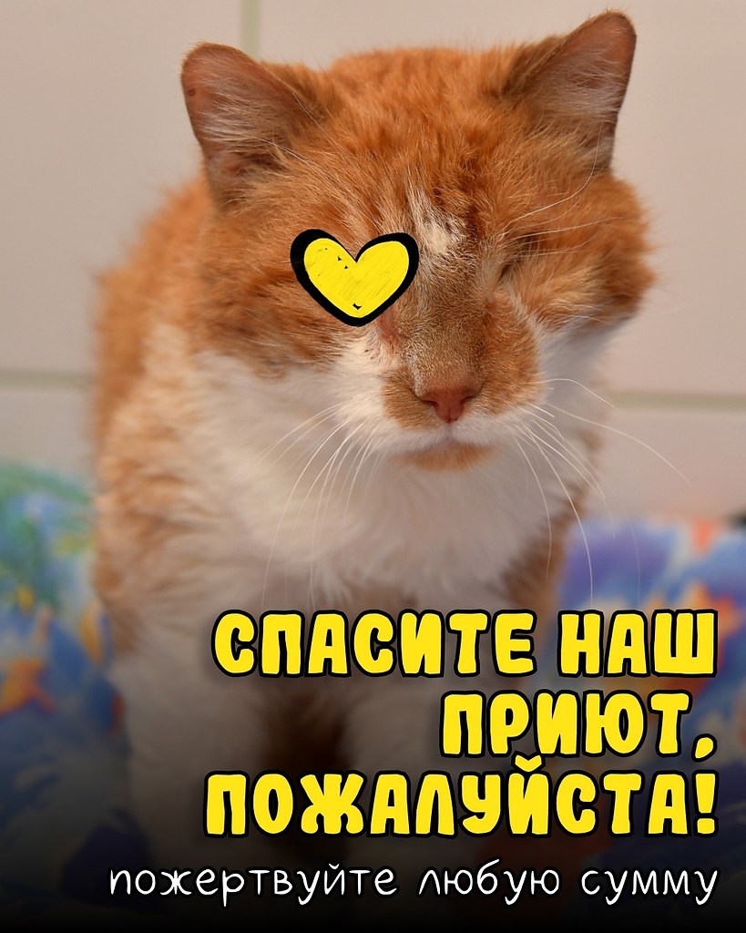 ���� �������! ��� �� ����� ���� ������! � ����� ������ ������ ������. �����, �� ������� ��������� ...