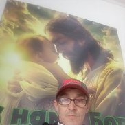 ������, 41 ���, ���������