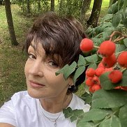 , 58 , 