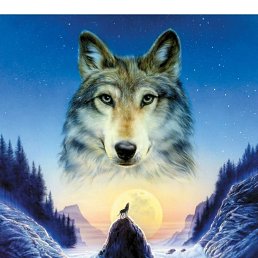 ���� ��������, ����-���, 40 ��� - ��������� 3 ������ 2024