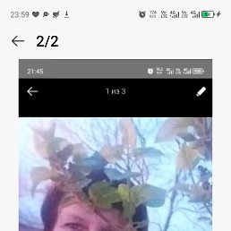 ���� ����, ������, 69 ��� - ��������� 4 ������ 2026