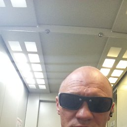  , 41 , 