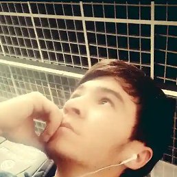 ����, �����-���������, 23 ����