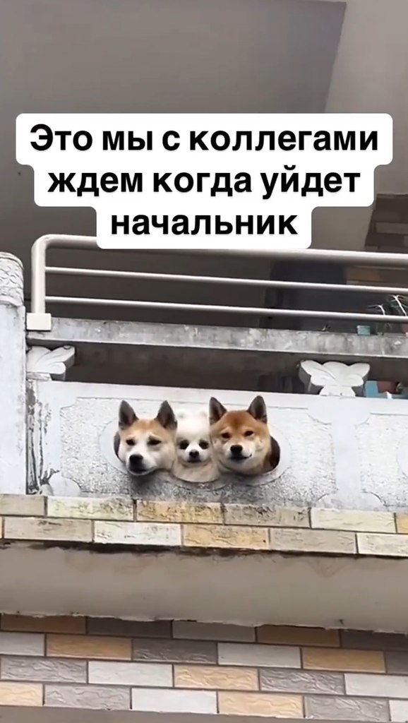      ,      - 2