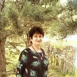 ���, ���������, 68 ���