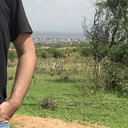 ����, ������, 42 ����