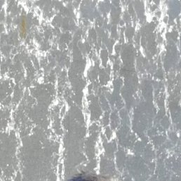 ����� ��������, 53 ����, ����