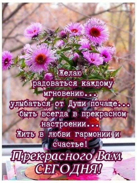������� �� �������� ����� ����.��� � ����� �������� ���-�� ��������.� ����� �������: ��������?.. ��� ... - 2