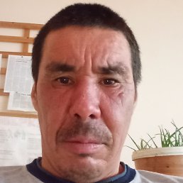 ���� �����, �����, 44 ����