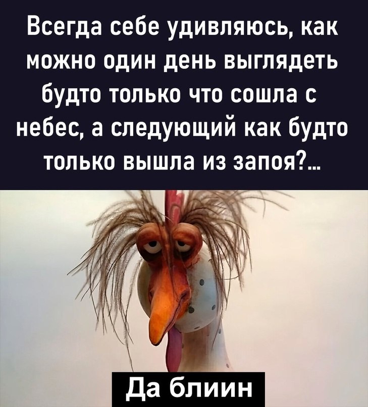  - 19  2024  10:47