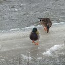 ���� ����, �����-������� - ��������� 2 ������� 2025 � ������ ���� ����������