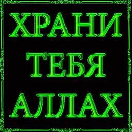 �������, ������, 49 ���