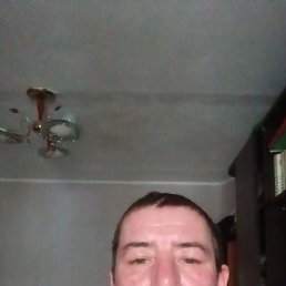 ���������, 38 ���, ����������