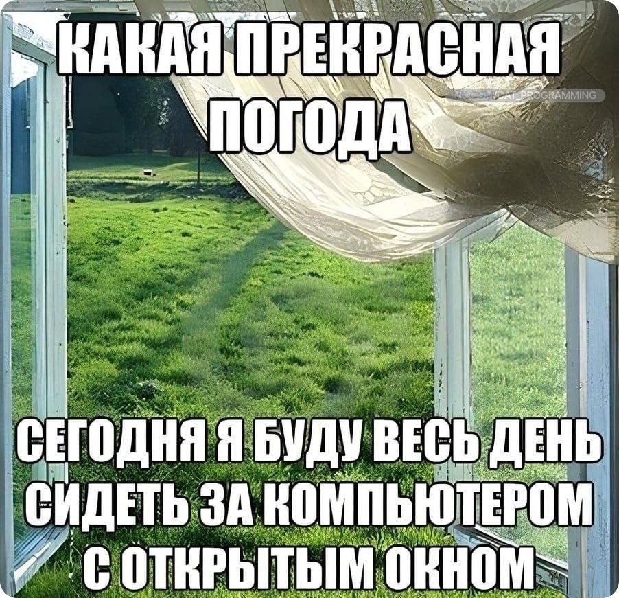 /zev/null - 9  2024  13:16