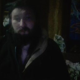 ������, 41 ���, ����