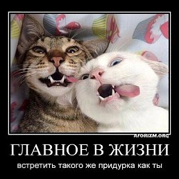 ���� �������, ���������, 42 ���� - ��������� 22 ����� 2026