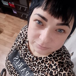 ������, 41 ���, ������