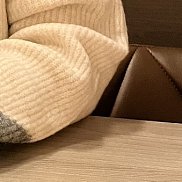 �����, 21 ���, ����������