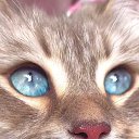 ���� ������, ���������, 43 ���� - ��������� 28 �������� 2025 � ������ ���� ����������