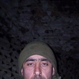 ������, 37 ���, ������