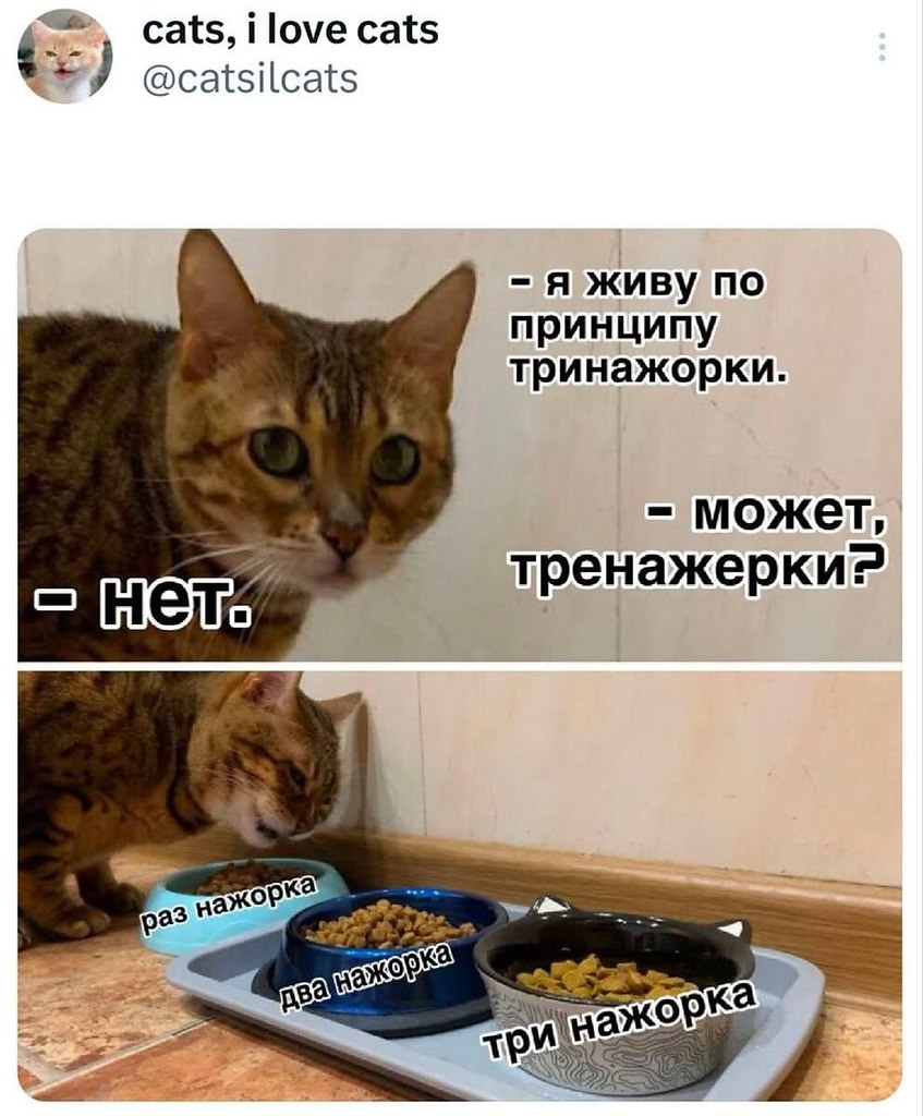ОБО ВСЕМ - 23 октября 2025 в 19:12