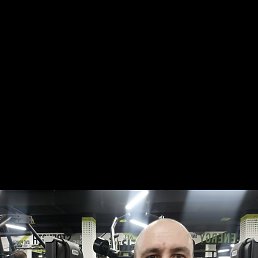 , 41, 