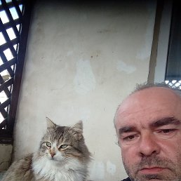 ��������, ���������, 40 ���