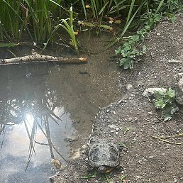 ����, ����, 48 ���