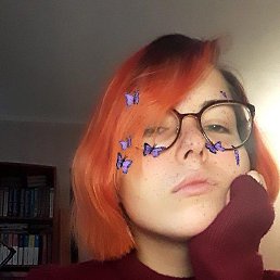 , , 24 