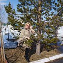 ���� �������, �����������, 65 ��� - ��������� 27 ����� 2024 � ������ ���� ����������