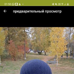 , 35, 