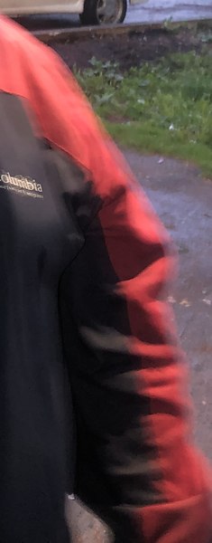 �������, �����, 25 ���