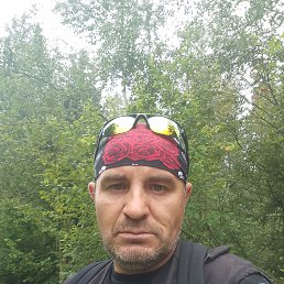 ���� ������, ���������, 43 ���� - ��������� 16 ����� 2026