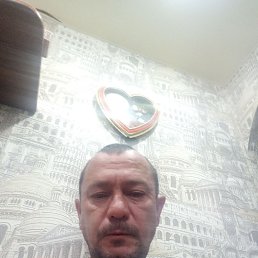 , 44 , 
