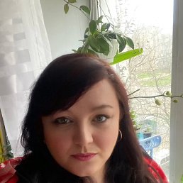 , 44, 