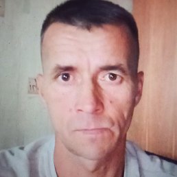 ���, ������, 46 ���