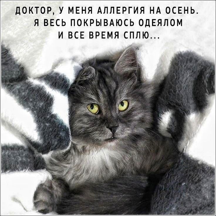   - 16  2025  16:07