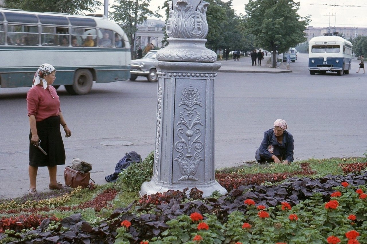 1965 - Белорусская ССР - Минск - Работницы зелёного ... | Назад в СССР ...