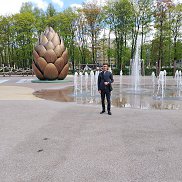 , 33 , 