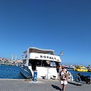 ���� ����� ��������, ������-��-����, 66 ��� - ��������� 4 ������ 2026 � ������ ���� ����������