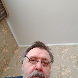 ����, 65 ���, ������