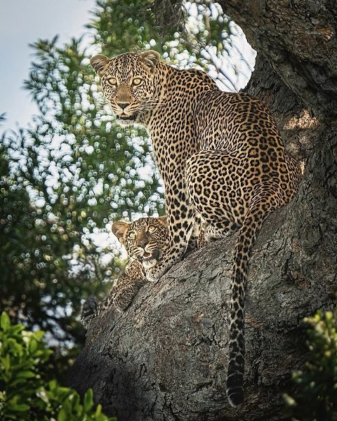 ����-������� �� ��������� ����� ������� ������ ����! �� ��� ����� ��� ���� �� ��������� � �������� ... - 4