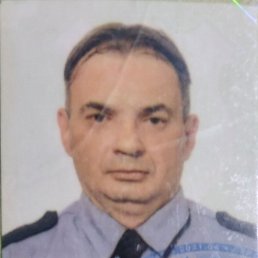 �����, 43 ����, ���������