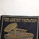 ���� ������, ������-��-���� - ��������� 14 ������� 2025 � ������ ���� ����������