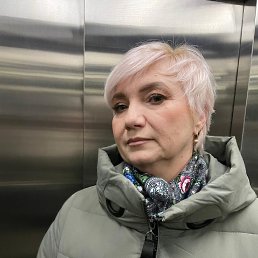 ���� �����, �������, 56 ��� - ��������� 5 ������ 2023