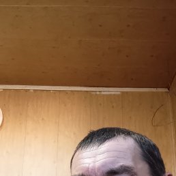 �����, 48 ���, ������