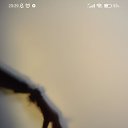 ���� ������, �����, 36 ��� - ��������� 5 ������ 2024 � ������ ���� ����������