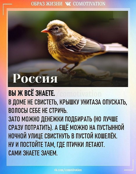 � �� ��� ����� �������� ������� ������? - 8