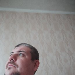 Roman, ��������, 34 ����