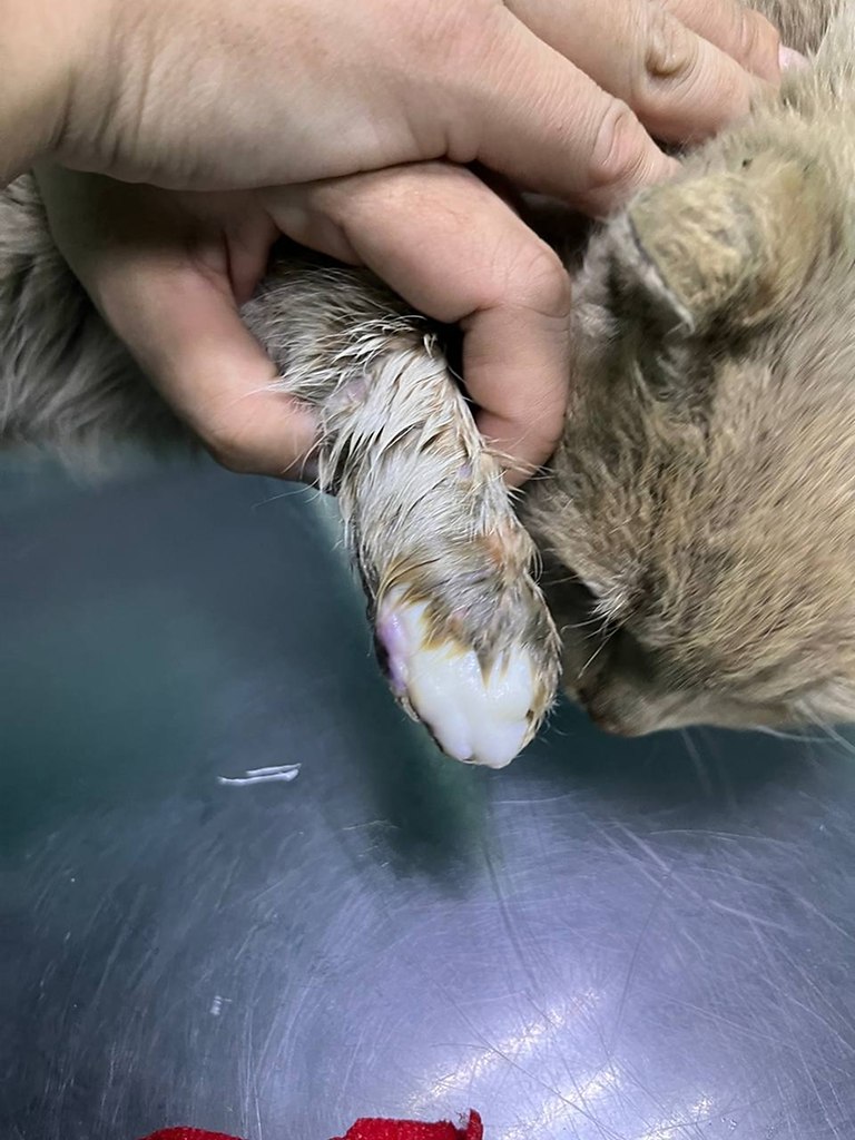 ��� � ������� ����� �������� ���... ���� ����� ��� ������������. ������ ���� ������� ������ ������. ... - 2